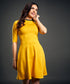 Neck Contrast A-line yellow Dress