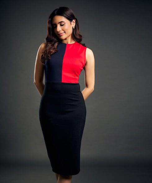 Mixed Tones Paneled Bodycon Sleeveless Dress