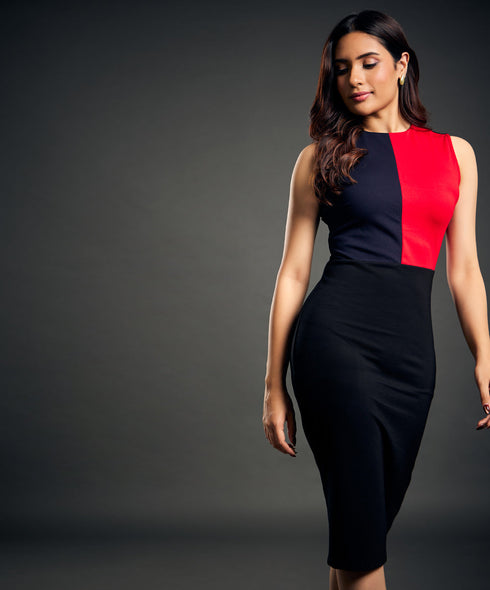 Mixed Tones Paneled Bodycon Sleeveless Dress