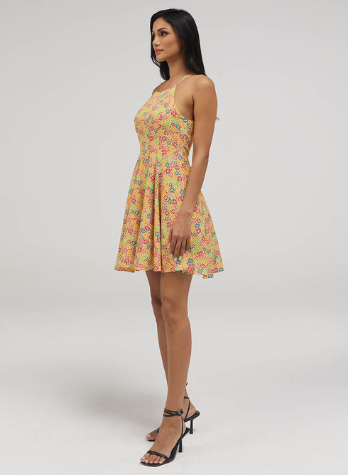 Halter Neck Skater Printed Dress
