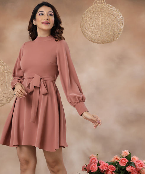 High Neck Belted Skater Brown Dress